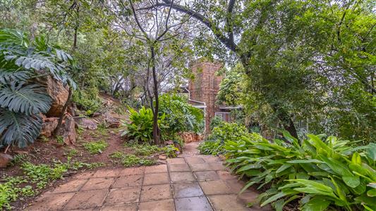 False - Farm For Sale in Olympus AH, Pretoria, Gauteng - M127372