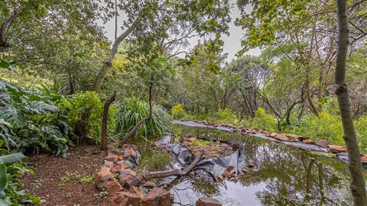 False - Farm For Sale in Olympus AH, Pretoria, Gauteng - M127372