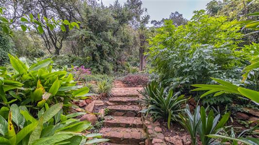 False - Farm For Sale in Olympus AH, Pretoria, Gauteng - M127372