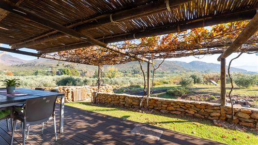 False - Farm For Sale in Robertson, Western Cape - M127407