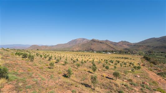False - Farm For Sale in Robertson, Western Cape - M127407