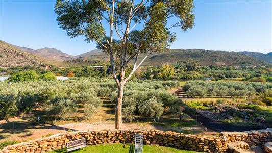 False - Farm For Sale in Robertson, Western Cape - M127407
