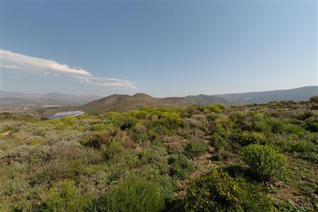 False - House Unavailable in McGregor, Western Cape - M121849