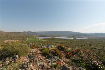 False - House Unavailable in McGregor, Western Cape - M121849