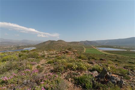 False - House Unavailable in McGregor, Western Cape - M121849