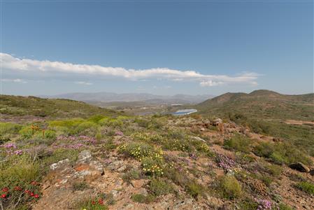 False - House Unavailable in McGregor, Western Cape - M121849