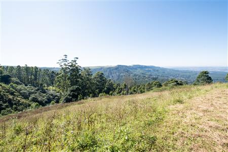 Vacant Land For Sale in Worlds View, Hilton, KwaZulu Natal - M127423