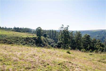 Vacant Land For Sale in Worlds View, Hilton, KwaZulu Natal - M127423