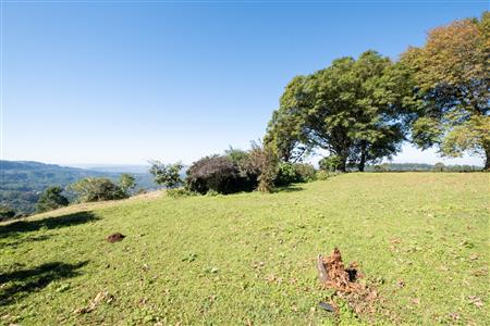 Vacant Land For Sale in Worlds View, Hilton, KwaZulu Natal - M127423