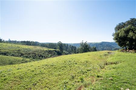 Vacant Land For Sale in Worlds View, Hilton, KwaZulu Natal - M127423