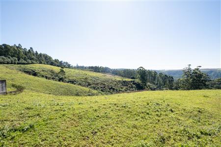 Vacant Land For Sale in Worlds View, Hilton, KwaZulu Natal - M127423