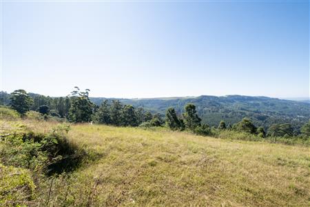 Vacant Land For Sale in Worlds View, Hilton, KwaZulu Natal - M127423