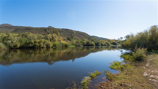 False - Farm For Sale in Robertson, Western Cape - M127529